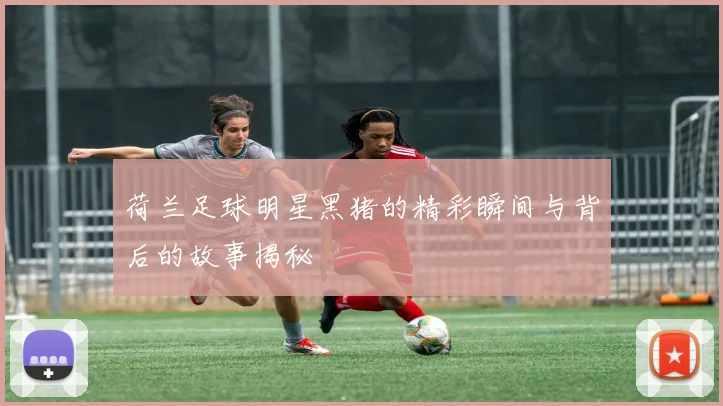 荷兰足球明星黑猪的精彩瞬间与背后的故事揭秘